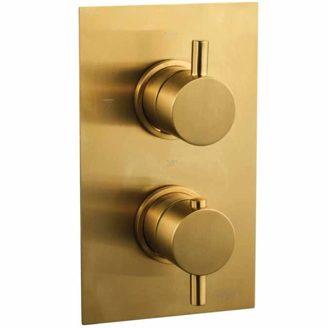 Niagara Equate Brushed Brass Twin Concealed Shower Valve - Single Outlet 1 Niagara Equate Brushed Brass Twin Concealed Shower Valve - Single Outlet